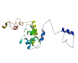 Family With Sequence Similarity 196, Member A (FAM196A)