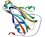 Family With Sequence Similarity 196, Member B (FAM196B)