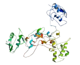 Family With Sequence Similarity 198, Member A (FAM198A)