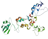 Family With Sequence Similarity 198, Member B (FAM198B)