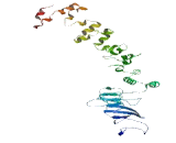 Family With Sequence Similarity 199, X-Linked (FAM199X)