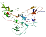 Family With Sequence Similarity 20, Member A (FAM20A)