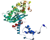 Family With Sequence Similarity 200, Member B (FAM200B)