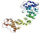 Family With Sequence Similarity 203, Member A (FAM203A)