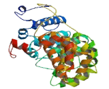 Family With Sequence Similarity 203, Member B (FAM203B)