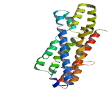 Family With Sequence Similarity 204, Member A (FAM204A)