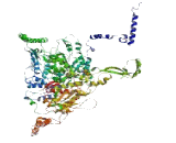 Family With Sequence Similarity 205, Member A (FAM205A)