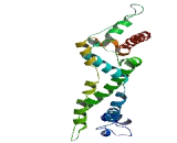 Family With Sequence Similarity 207, Member A (FAM207A)