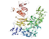 Family With Sequence Similarity 208, Member B (FAM208B)