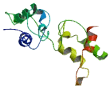 Family With Sequence Similarity 21, Member A (FAM21A)