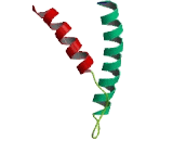 Family With Sequence Similarity 21, Member C (FAM21C)