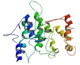 Family With Sequence Similarity 21, Member D (FAM21D)