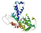 Family With Sequence Similarity 214, Member A (FAM214A)