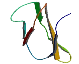 Family With Sequence Similarity 24, Member A (FAM24A)