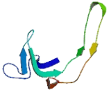 Family With Sequence Similarity 25, Member E (FAM25E)