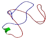 Family With Sequence Similarity 26, Member D (FAM26D)