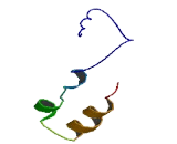 Family With Sequence Similarity 26, Member E (FAM26E)