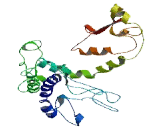 Family With Sequence Similarity 26, Member F (FAM26F)