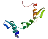 Family With Sequence Similarity 27, Member E3 (FAM27E3)