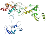 Family With Sequence Similarity 35, Member A (FAM35A)