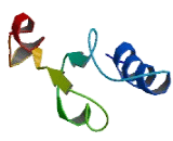 Cytochrome C Oxidase Assembly Protein 20 (COX20)