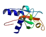 Family With Sequence Similarity 38, Member A (FAM38A)