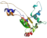 Piezo Type Mechanosensitive Ion Channel Component 2 (PIEZO2)