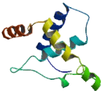 Family With Sequence Similarity 58, Member B (FAM58B)