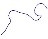 Striatin Interacting Protein 1 (STRIP1)