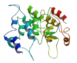 Family With Sequence Similarity 46, Member A (FAM46A)