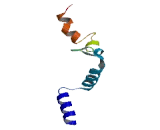 Family With Sequence Similarity 46, Member D (FAM46D)