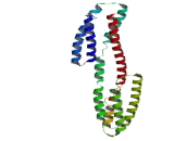 Family With Sequence Similarity 47, Member E (FAM47E)