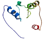 Family With Sequence Similarity 49, Member A (FAM49A)