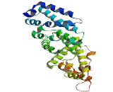 Family With Sequence Similarity 49, Member B (FAM49B)