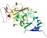 Family With Sequence Similarity 53, Member B (FAM53B)