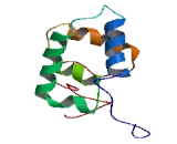 Family With Sequence Similarity 53, Member C (FAM53C)