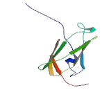 Family With Sequence Similarity 55, Member C (FAM55C)