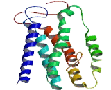 Family With Sequence Similarity 57, Member A (FAM57A)