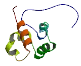 Family With Sequence Similarity 59, Member A (FAM59A)