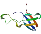 Family With Sequence Similarity 61, Member A (FAM61A)