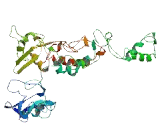 Family With Sequence Similarity 63, Member A (FAM63A)