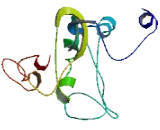 Family With Sequence Similarity 64, Member A (FAM64A)