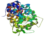 Family With Sequence Similarity 65, Member A (FAM65A)