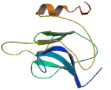 Family With Sequence Similarity 65, Member B (FAM65B)