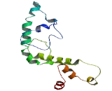 Family With Sequence Similarity 65, Member C (FAM65C)