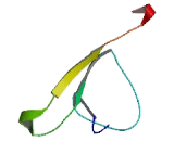 Centrosomal Protein 170kDa Protein B (CEP170B)