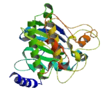 Family With Sequence Similarity 69, Member A (FAM69A)