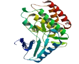 Family With Sequence Similarity 69, Member C (FAM69C)