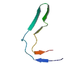 Family With Sequence Similarity 70, Member B (FAM70B)