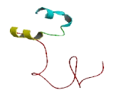 Family With Sequence Similarity 71, Member C (FAM71C)